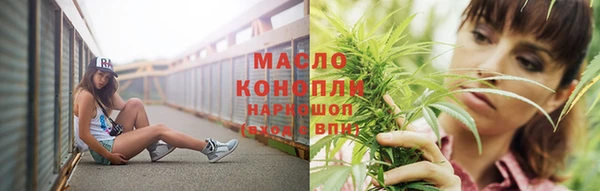спиды Тында