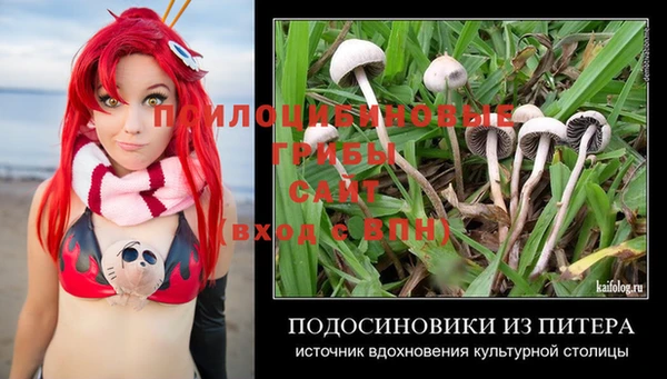 спиды Тында