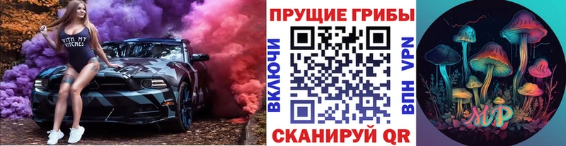 Галлюциногенные грибы мицелий  Хадыженск 
